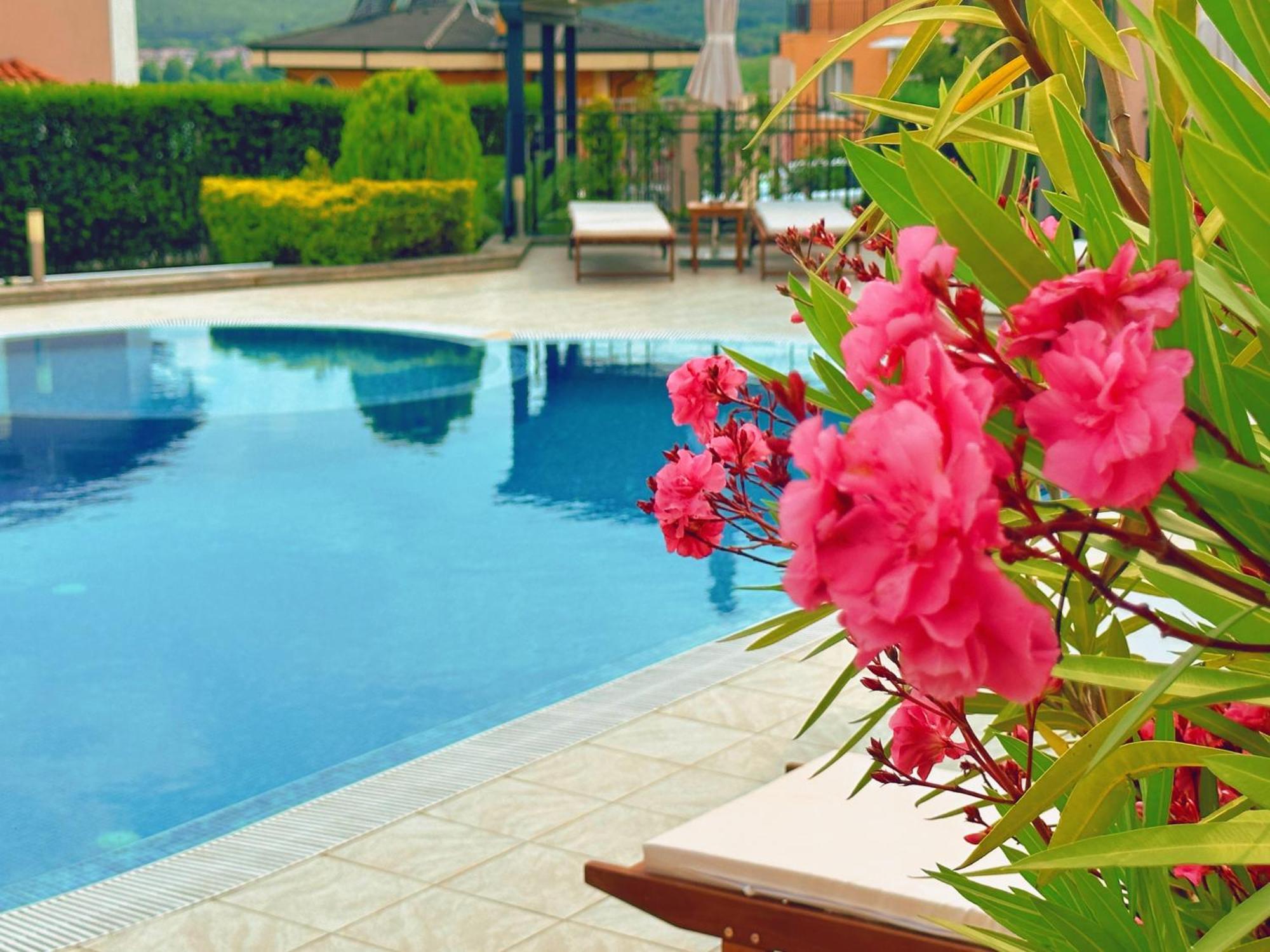 Villa Mia Созополь Экстерьер фото